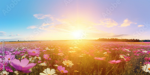 Blooming Flowers and Blue Sky with White Clouds