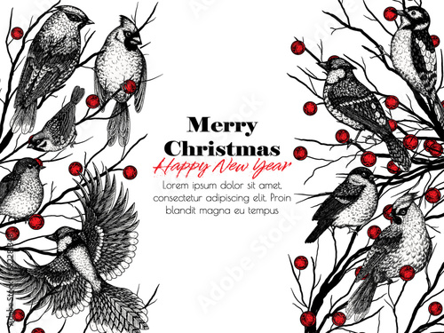 Vector illustration of 9 winter birds. Waxwing, robin, bullfinch, red cardinal, sparrow, woodpecker and blue jay in engraving style