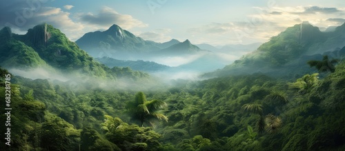In the lush Asian jungle, a traveler discovered a hidden paradise. The texture of the grunge wood added authenticity to the landscape of green mountains and dense forests. The vibrant plant life © 2rogan