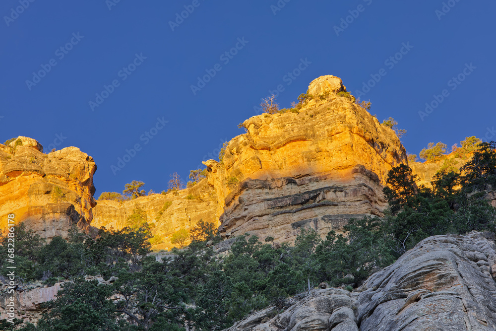Grand Canyon National Park Cliffs Illuminated in Bright Yellow with First Light During Sunrise at Bright Angel Trail