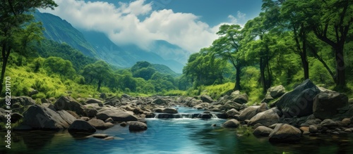 mesmerizing summer landscape of India, a white cloud decorates the sky, as light pierces through the lush green forest, reflecting on the crystal-clear water of a serene mountain stream, creating a