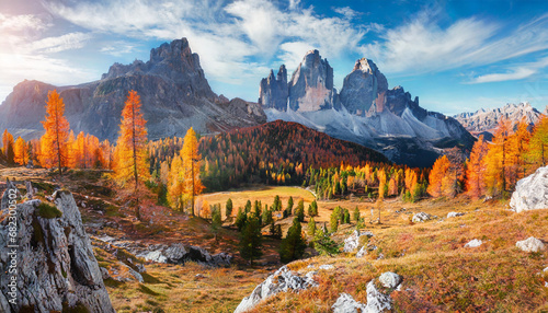 incredible autumn scenery at alpine valley in italian dolomite alps yellow and orange larches forest and rocky mountains peaks on background dolomites italy picture of wild area photo