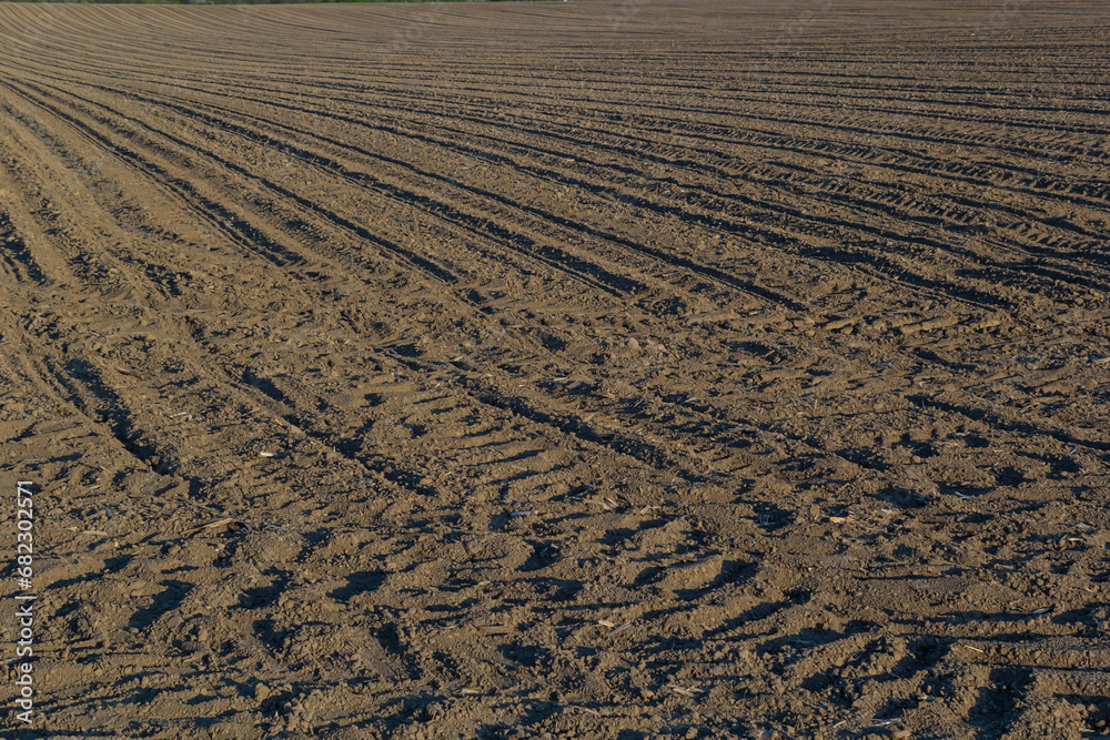 Plowed, Planted And Hilling Rows Black-earth Field. Ground Texture Plowed, Planted And Hilling Rows Black-earth Field. Ground Texture
