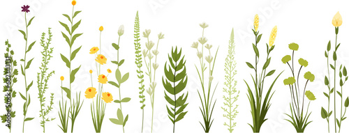field vegetation set isolated vector style with transparent background illustration