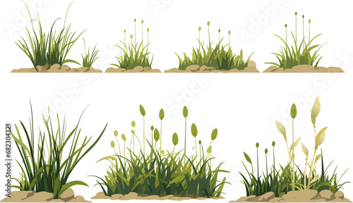 marsh vegetation set isolated vector style with transparent background illustration photo