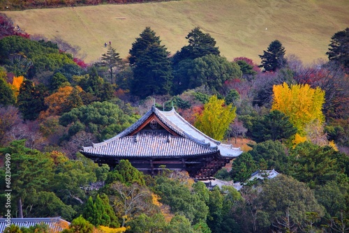Todaiji Temple in Nara, Japan photo