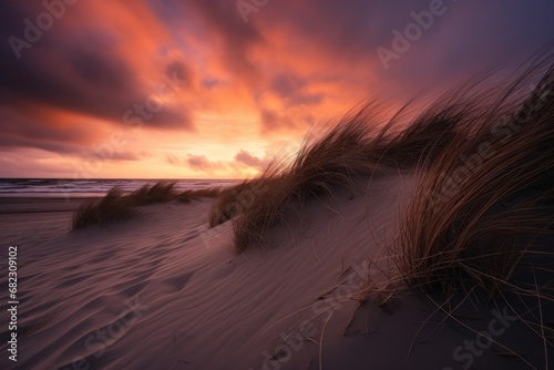  a sunset on a beach with sand blowing in the wind and grass sticking out of the sand and grass sticking out of the sand and grass sticking out of the sand.