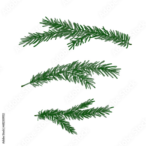 Christmas tree branch clip art, hand drawn illustration. Vector plant greenery elements, isolate on white background photo