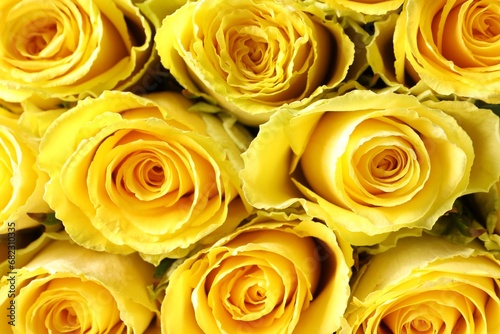Beautiful bouquet of yellow roses as background  top view