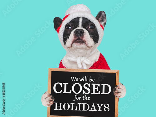 Signboard with the inscription We will be closed for the Holidays. Cute puppy. Closeup, indoors. Studio shot. Pets care concept © Svetlana