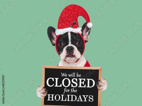 Signboard with the inscription We will be closed for the Holidays. Cute puppy. Closeup, indoors. Studio shot. Pets care concept © Svetlana