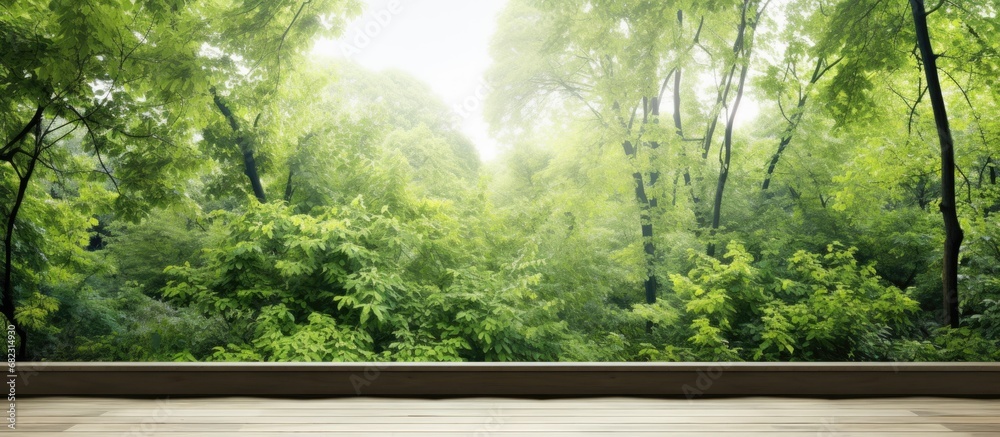 In a summer landscape, a lush greenery with vibrant leaves contrasts beautifully against a white isolated background, highlighting its natural texture and design. The wall covered in wood adds an In a summer landscape, a lush greenery with vibrant leaves contrasts beautifully against a white isolated background, highlighting its natural texture and design. The wall covered in wood adds an