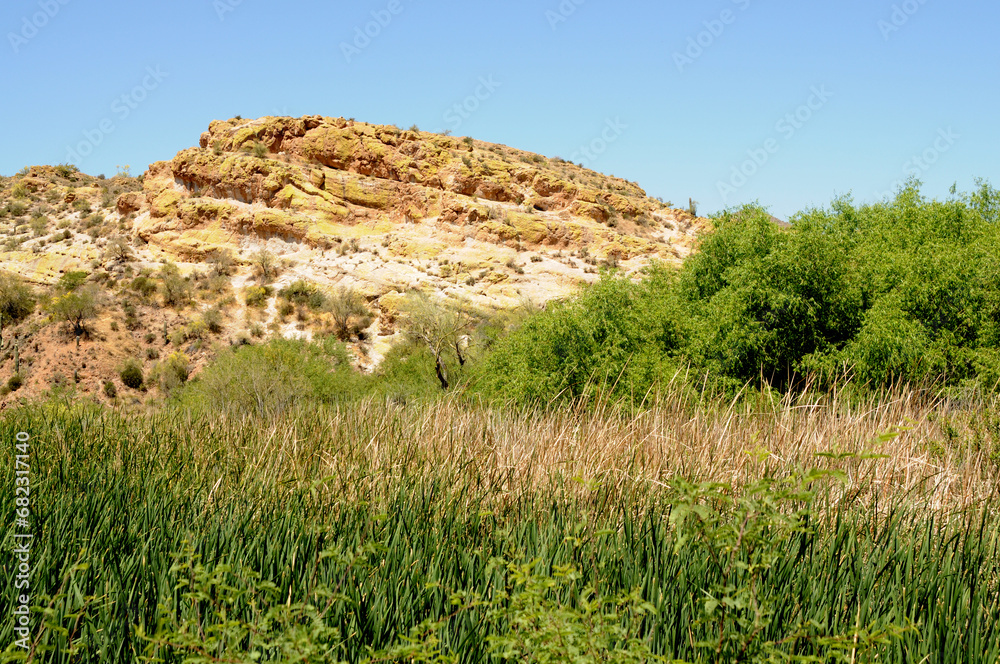 Salt River Recreation Area Arizona Salt River Recreation Area Arizona