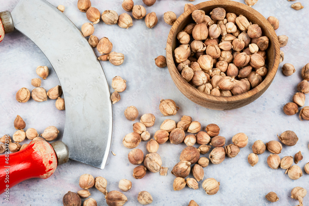 White cardamon seed, spice. White cardamon seed, spice.