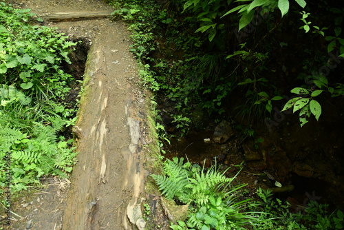 山道 ーroad approaching a shrineー