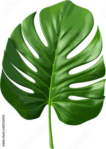 Green jungle leaf clip art