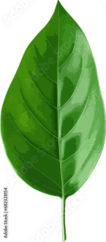 Green leaf clip art