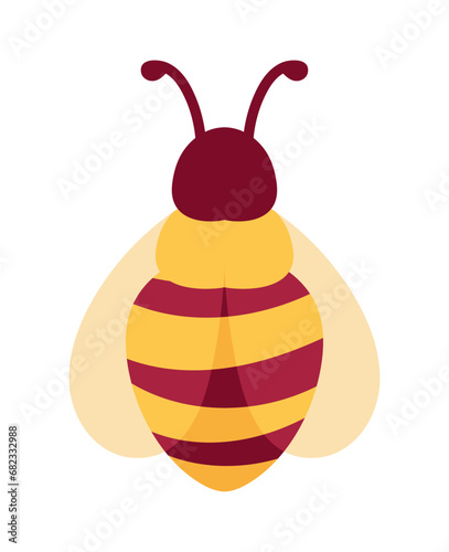 bee insect design