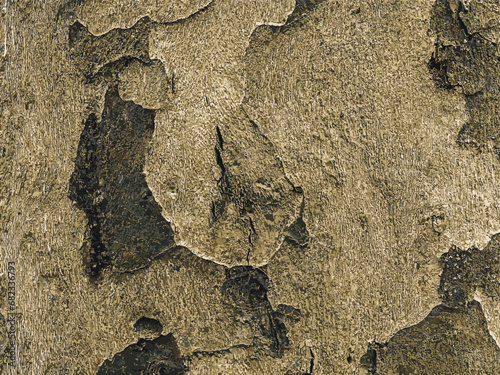 Vector illustration of the texture of the bark of an oriental plane tree or Platanus orientalis in Latin. Natural military background.
