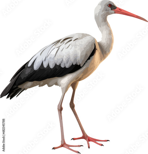 Stork clip art