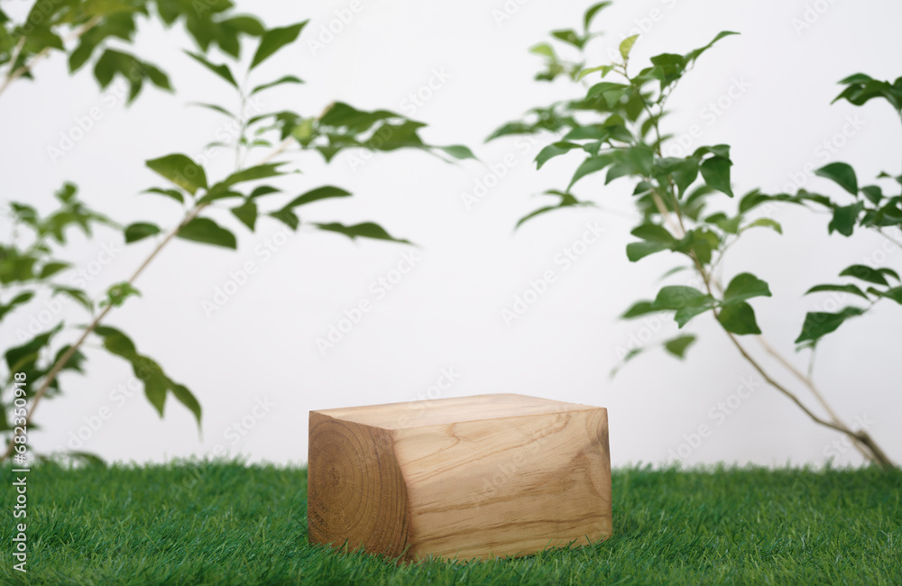wood podium on grass with tree branch green leaf white space background.promotion beauty cosmetic and healthy natural product placement pedestal platform showcase display,spring or summer advertising. wood podium on grass with tree branch green leaf white space background.promotion beauty cosmetic and healthy natural product placement pedestal platform showcase display,spring or summer advertising.