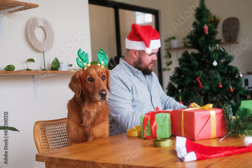 A man in a Santa Claus hat and a golden retriever dog in a headband with deer antlers pack gifts for Christmas and New Year, against the backdrop of a Christmas tree. Christmas decorations and prepare