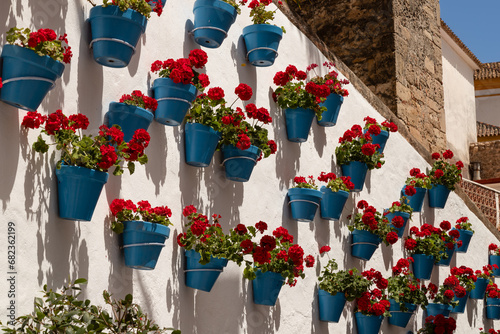 Blooming geraniums in blue pots on a light wall in the old town of Marbella, Costa del Sol, Spain. photo