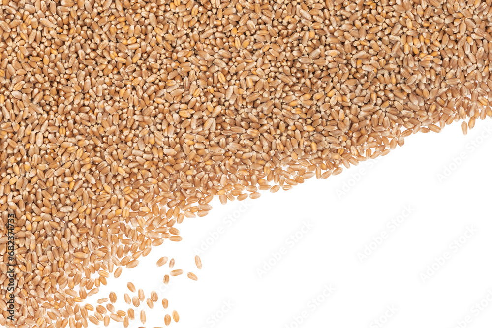 Obraz premium Grains of brown wheat isolated on white background. close up wheat seeds texture