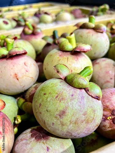 mangosteen is fruit queen