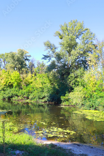  Landscape with lake in sunny summer day