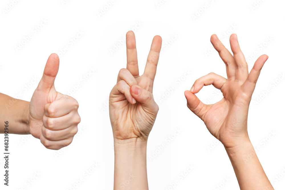 Set of young woman's hands showing the thumb up, peace and ok gestures isolated on a white background. Positive and victory hand sign. Finger up - obrazy, fototapety, plakaty 
