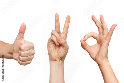 Set of young woman's hands showing the thumb up, peace and ok gestures isolated on a white background. Positive and victory hand sign. Finger up photo