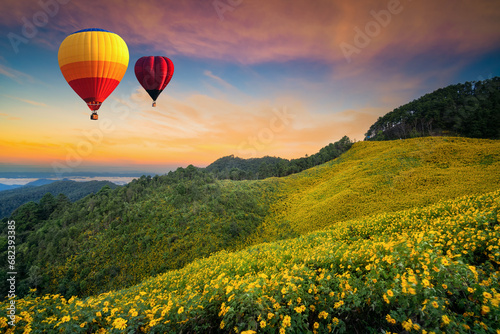 Colorful hot air balloons flying over Tung Bua Tong Mexican sunflower field in sunset, Mae Hong Son Province Thailand. Hot Air Balloon over yellow flower field landscape