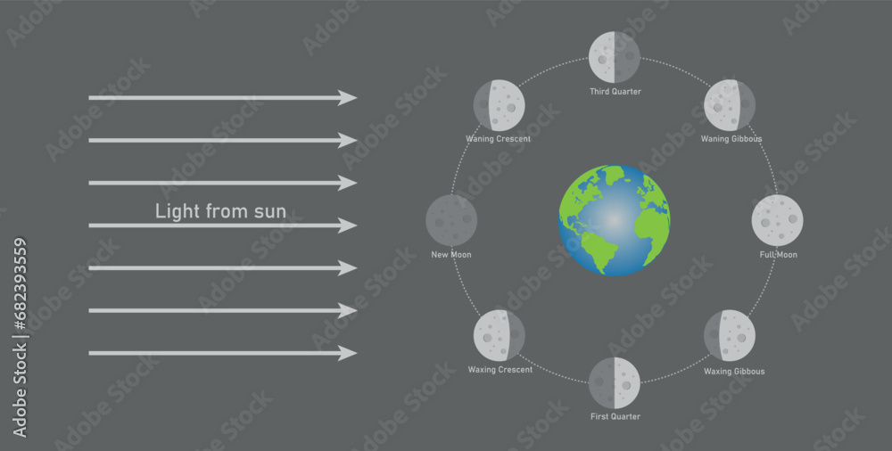 Phase of the moon diagram. The moon orbits around the earth. Third quarter, waning gibbous, full