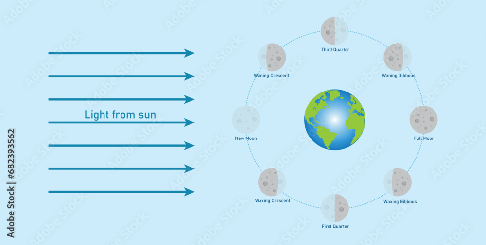 Phase of the moon diagram. The moon orbits around the earth. Third