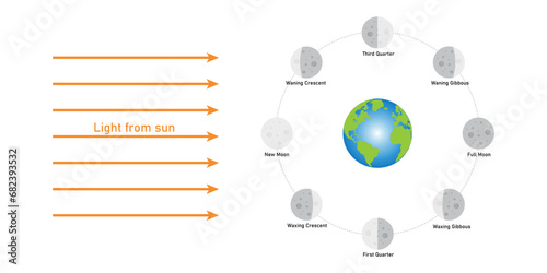 Phase of the moon diagram. The moon orbits around the earth. Third quarter, waning gibbous, full moon, waxing gibbous, first quarter, waxing crescent, new moon and waning crescent. Vector illustration