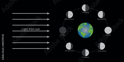 Phase of the moon diagram. The moon orbits around the earth. Third quarter, waning gibbous, full moon, waxing gibbous, first quarter, waxing crescent, new moon and waning crescent. Vector illustration