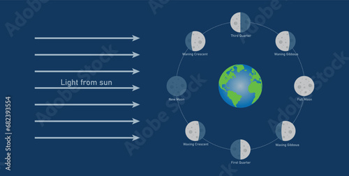Phase of the moon diagram. The moon orbits around the earth. Third quarter, waning gibbous, full moon, waxing gibbous, first quarter, waxing crescent, new moon and waning crescent. Vector illustration