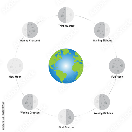 Phase of the moon diagram. The moon orbits around the earth. Third quarter, waning gibbous, full moon, waxing gibbous, first quarter, waxing crescent, new moon and waning crescent. Vector illustration