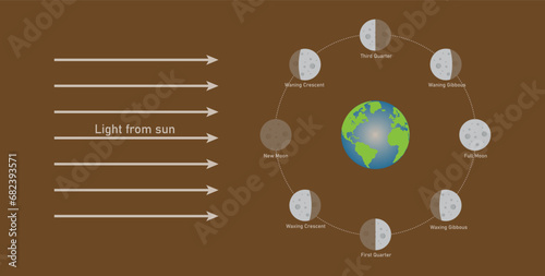 Phase of the moon diagram. The moon orbits around the earth. Third quarter, waning gibbous, full moon, waxing gibbous, first quarter, waxing crescent, new moon and waning crescent. Vector illustration