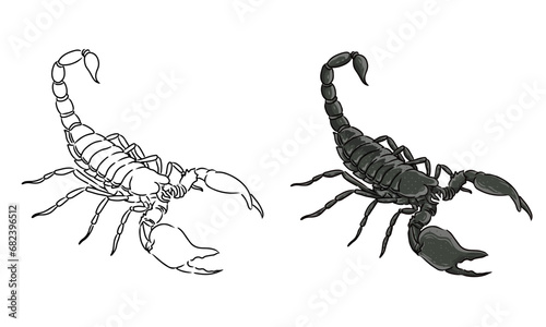 Scorpion vector coloring page image. Scorpion Vector. Scorpion Sketch