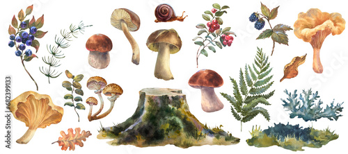 A large set of forest mushrooms, boletus, chanterelles and blueberries, lingonberries, fern, stump, leaves. Watercolor illustration, hand drawn. Isolated objects on a white background.