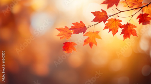 Autumn Whispers  Warm Tones of Fall Maple Leaves in Soft Light