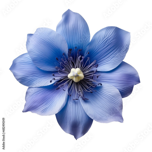 isolated illustration of blue exotic flower. Created with Generative AI photo