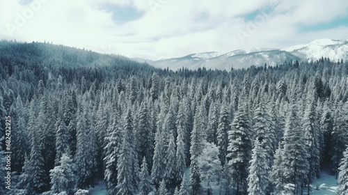Natural winter landscape aerial drone top view.. Winter season weather
