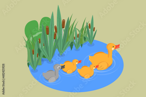 3D Isometric Flat Vector Illustration of Ugly Duckling Fairy Tale, Waterfowls Swimming in Pond