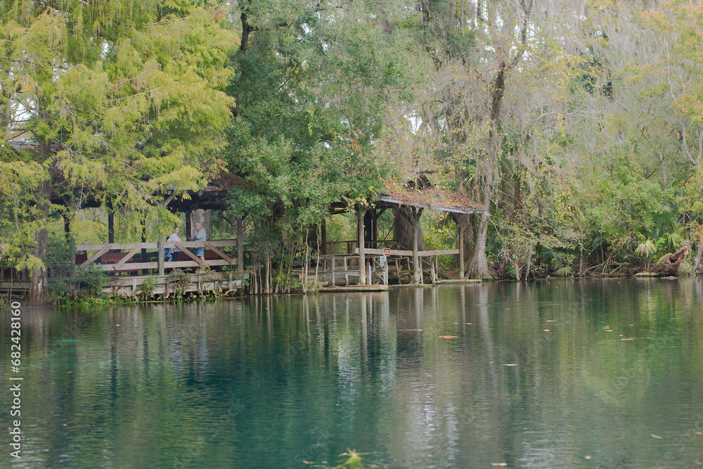 Low view across smooth lake towards an old wood dock on a cloudy day with palm trees, cypress trees and Spanish moss hanging down. Reflections of trees and sky in the water. Low view across smooth lake towards an old wood dock on a cloudy day with palm trees, cypress trees and Spanish moss hanging down. Reflections of trees and sky in the water.
