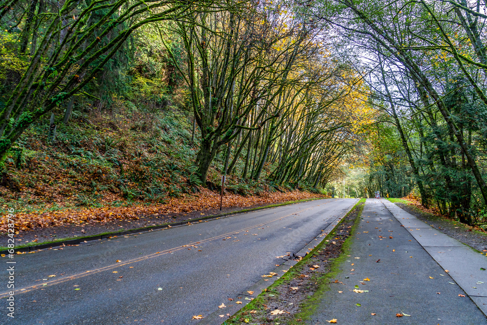 Obraz premium Late Autumn Landscape 11