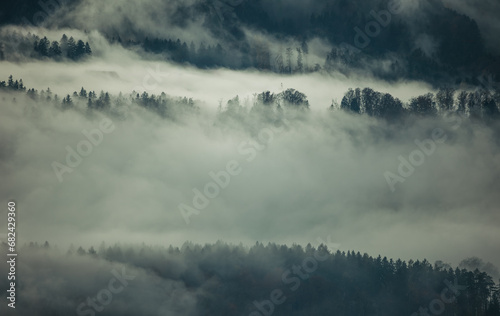 Misty morning in the forest of mountains, dark and moody landscape scene © Micha 