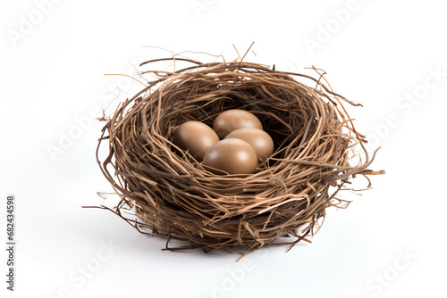 Wallpaper Mural Bird's nest with little brown eggs isolated on white background Torontodigital.ca